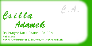 csilla adamek business card